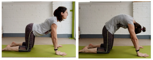 ¿Quieres un cuerpo sano? Estíralo y tonifícalo